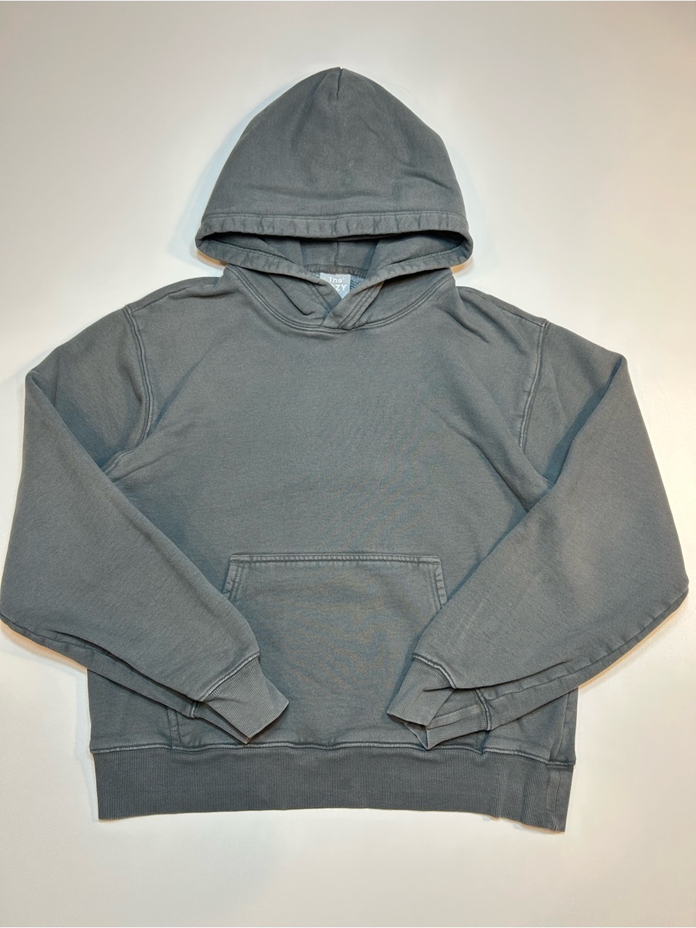 Tna Aritzia Cozy Fleece Boyfriend Hoodie Garment Dye Charcoal Grey Pullover